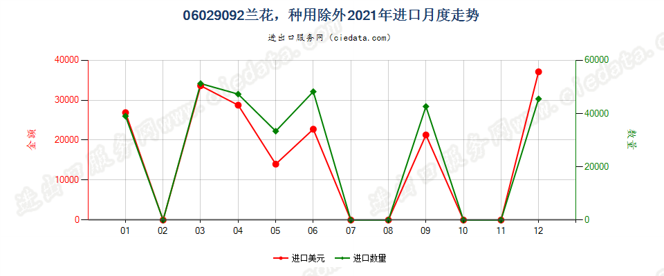 06029092兰花，种用除外进口2021年月度走势图